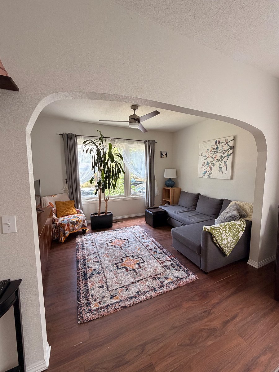 Living Room w/sofa bed