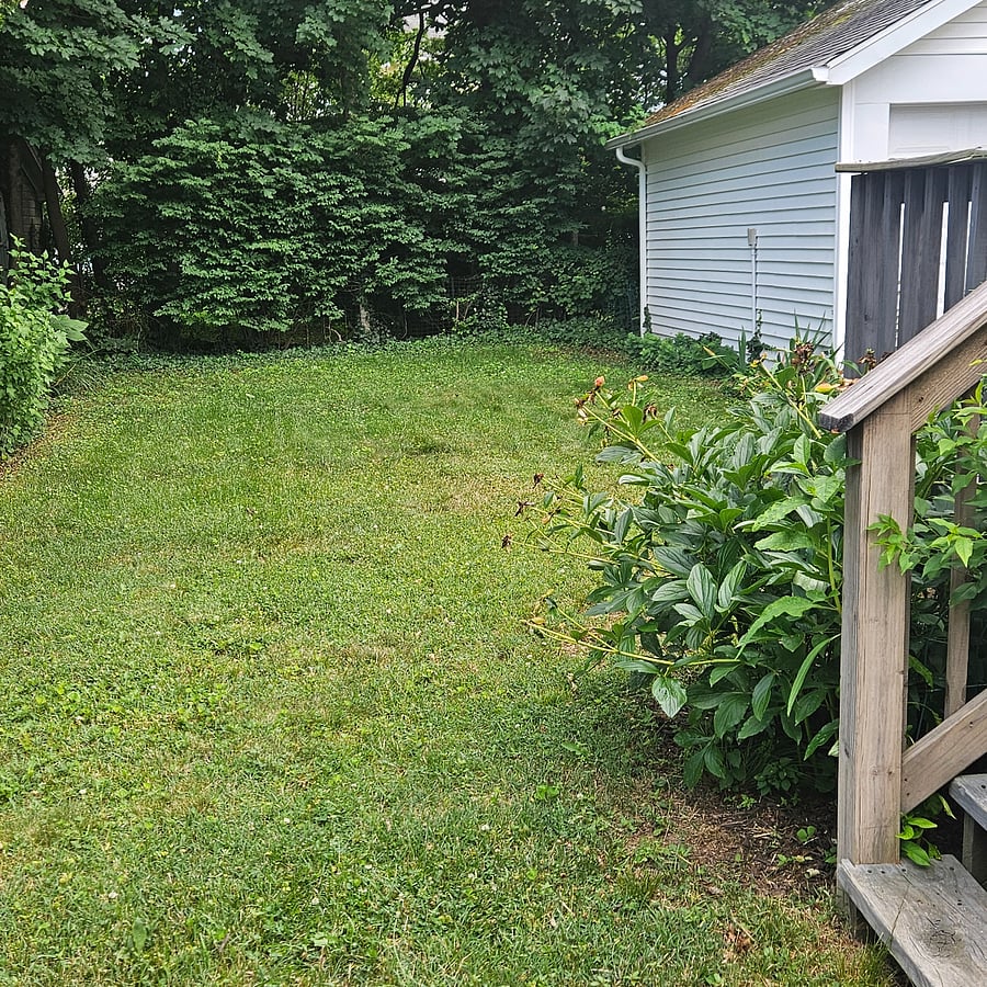 backyard, lawncare provided by owner