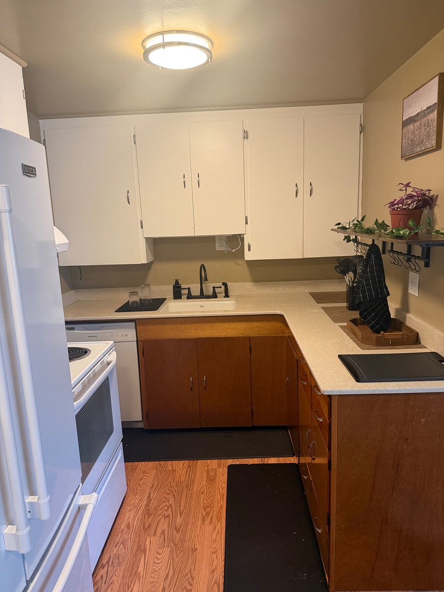 Furnished Finder property 1020786_1 photo 3