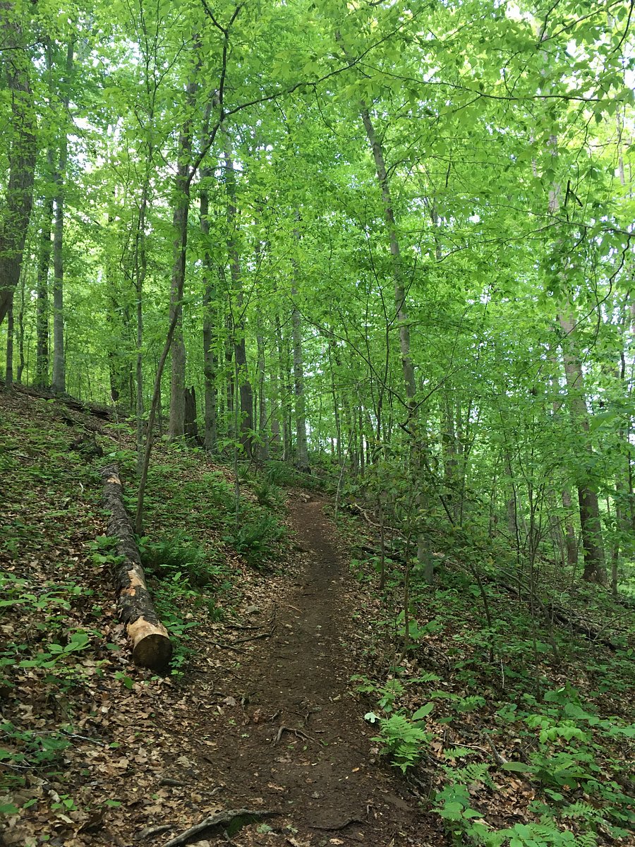 Eno Trail!