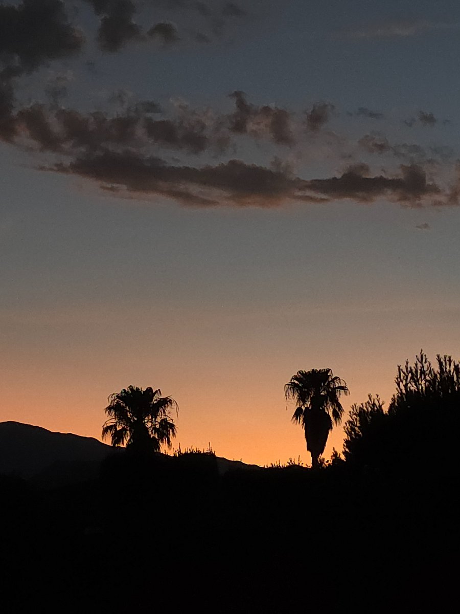 Backyard sunset