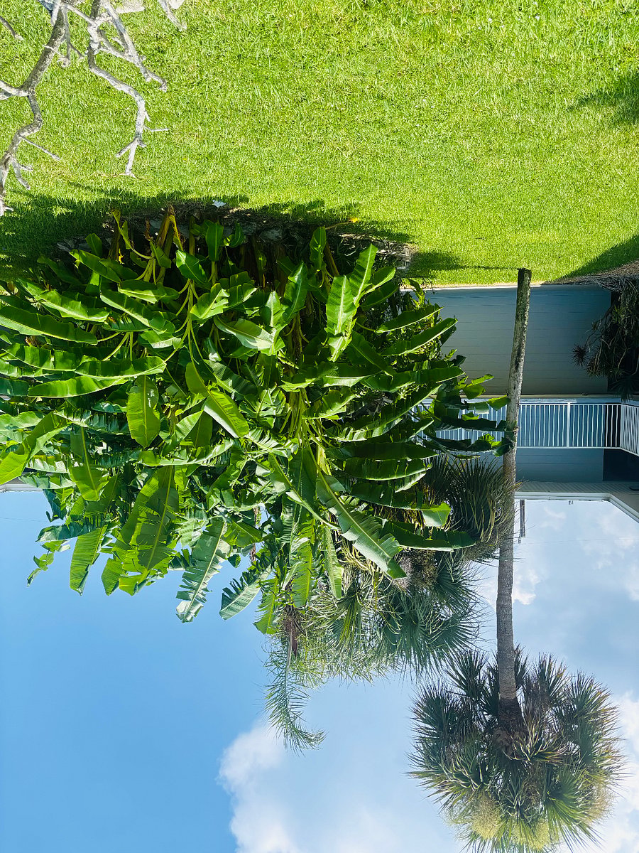 Furnished Finder property 1020980_1 photo 18