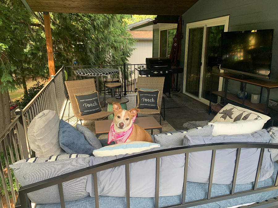 covered back porch - photo bomb of Sunshine