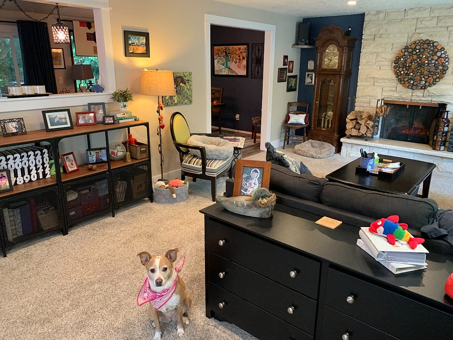 living room - more photo bombs of Sunshine