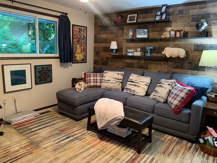 cozy den - with Z chillin' on the couch