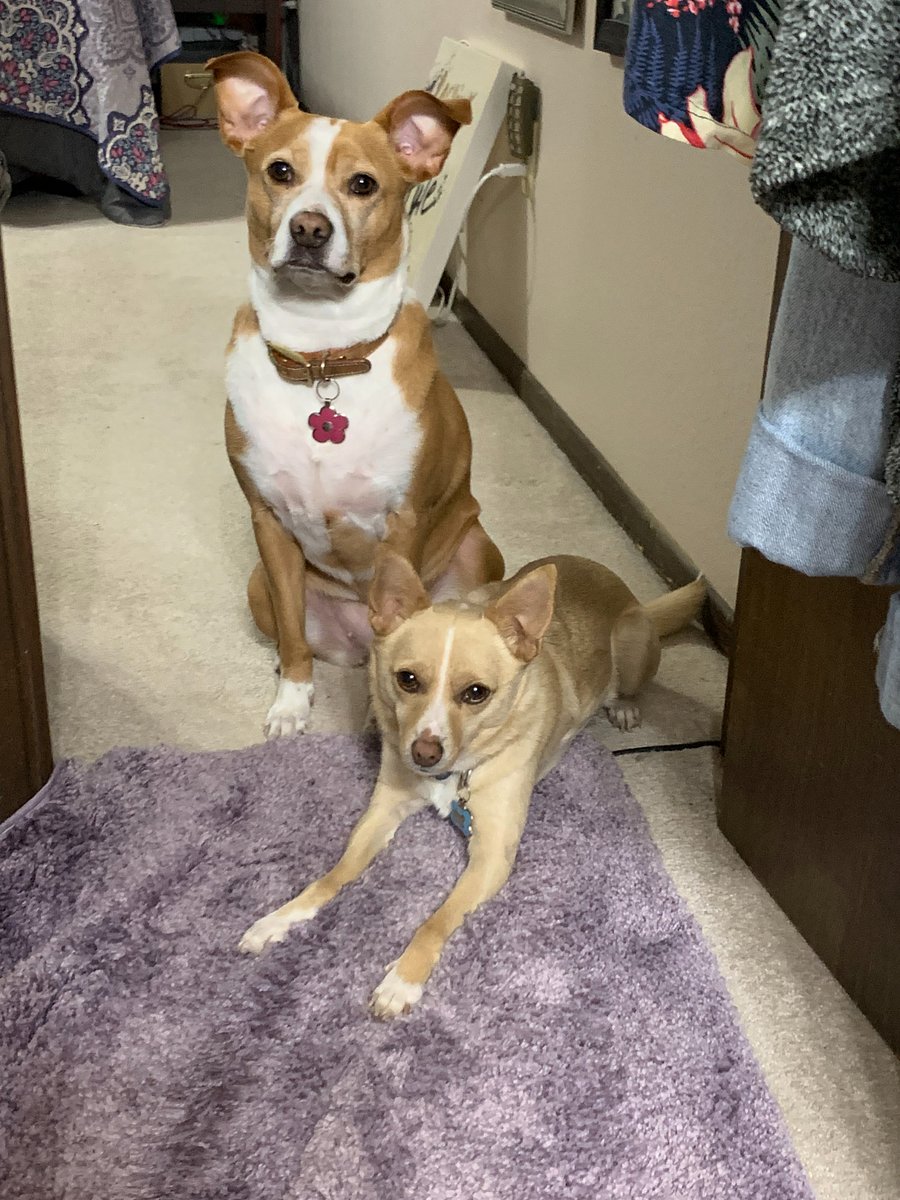 a more candid shot of Sunshine & Z