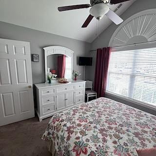 Furnished Finder property 1021124_1 photo 5
