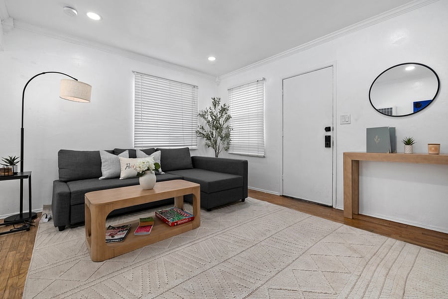Living room with sofa bed