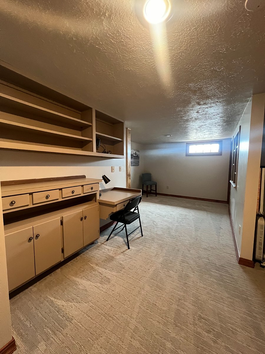 Basement with built in shelves and desk area
