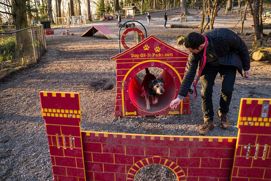 There are covered areas and at times there are minic courses set up in the dog park..