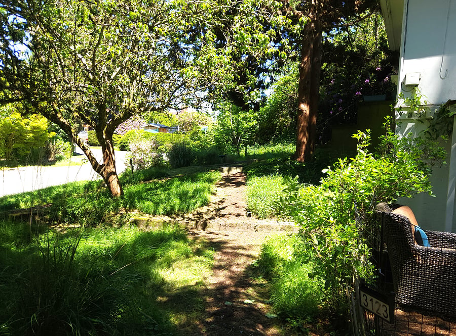 The naturalized yard attracts birds, rabbits, and the occassional deer.
