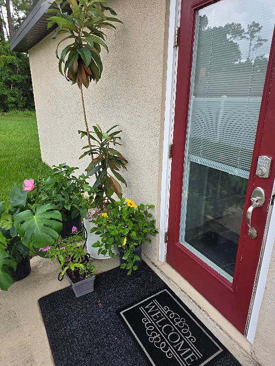 Owner loves plants and has a small vegetable garden