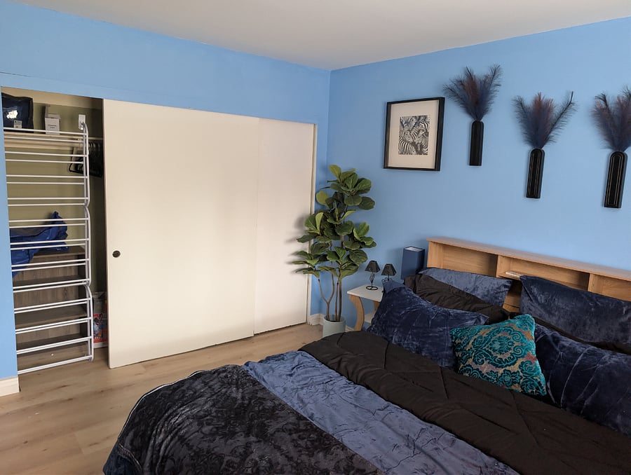 2nd bedroom closet