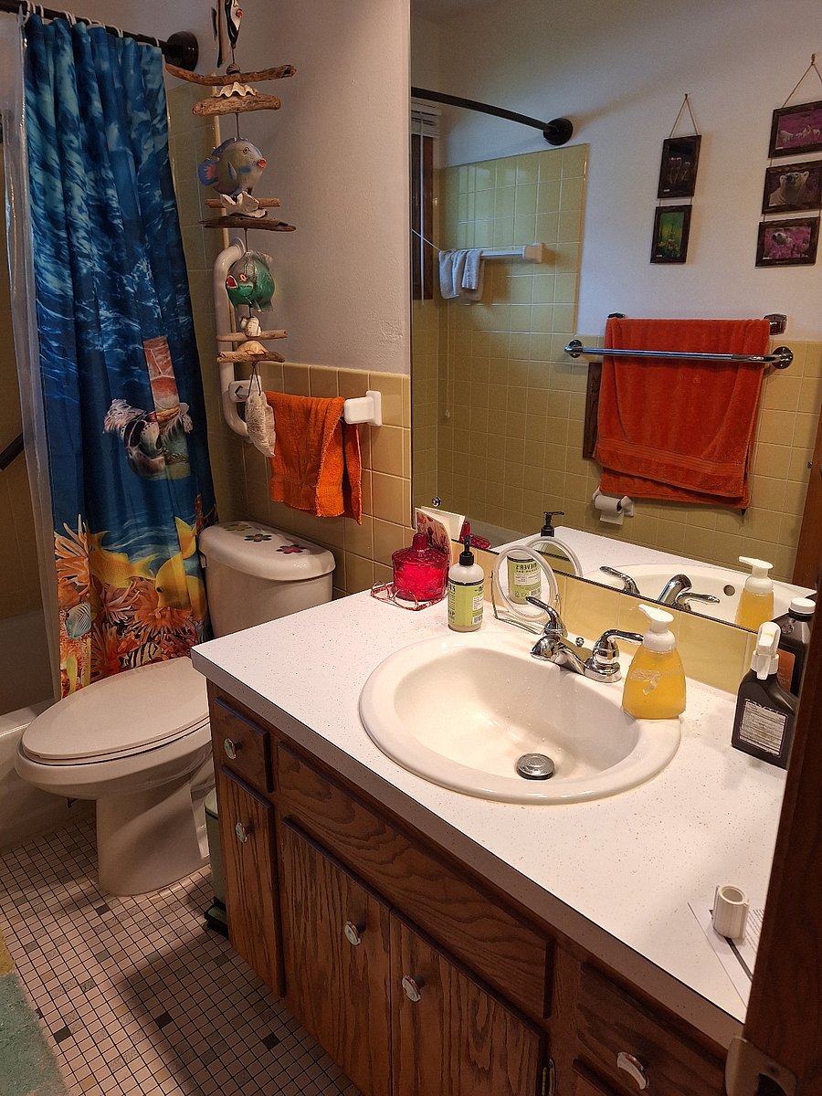 main bathroom with shower/tubp