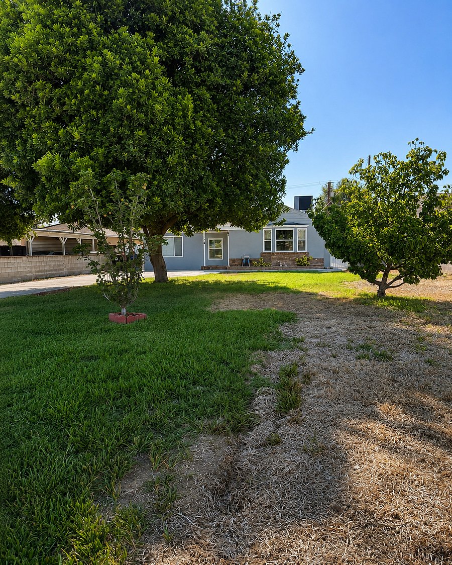 Furnished Finder property 1021480_1 photo 9