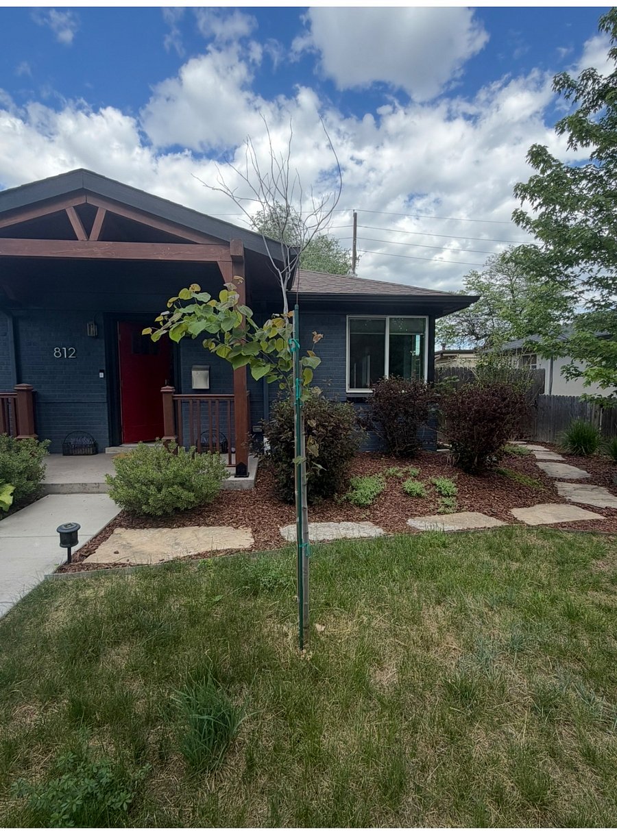 Furnished Finder property 1021610_1 photo 2