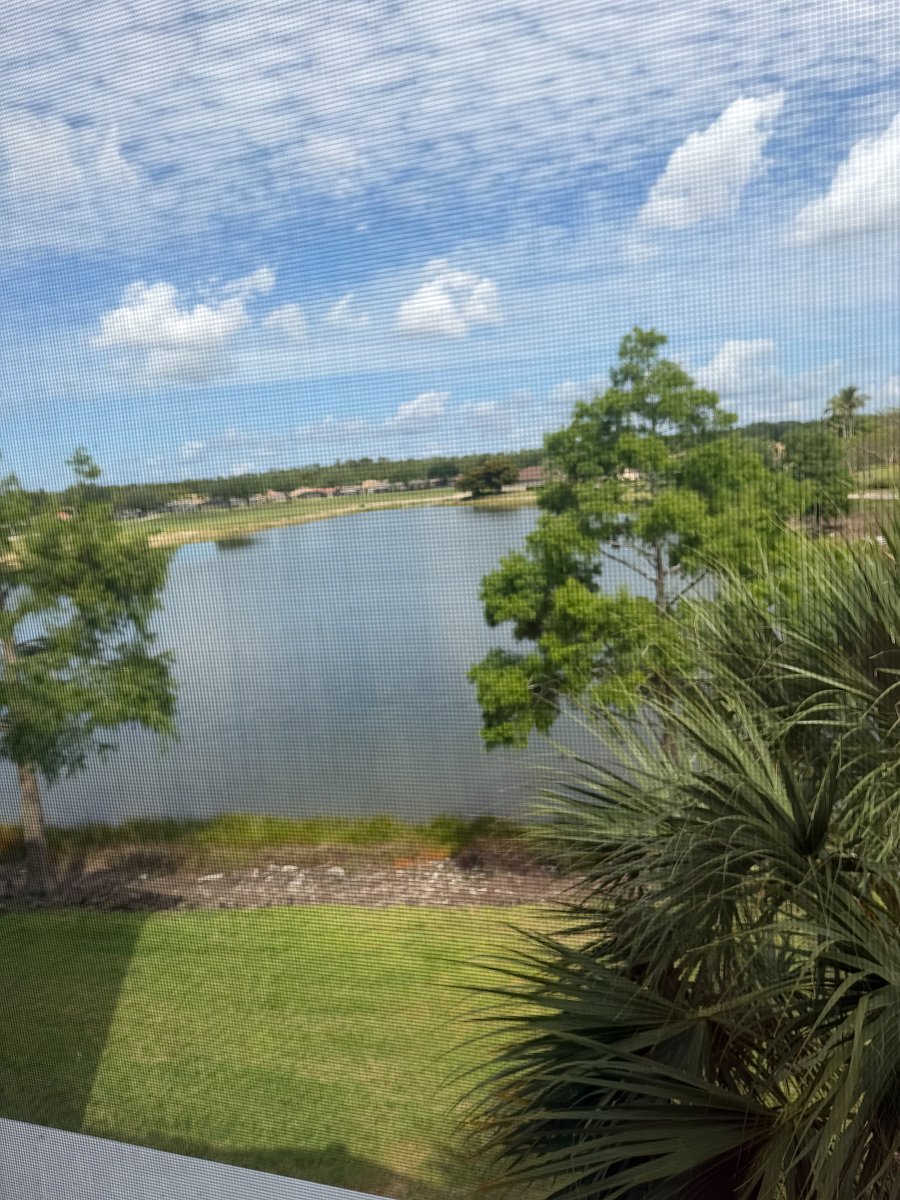 View from screened in lanai