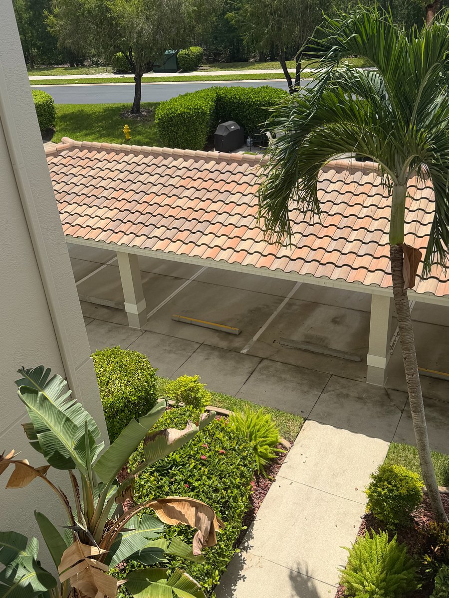 Elevated view of covered parking with tile roof and palms