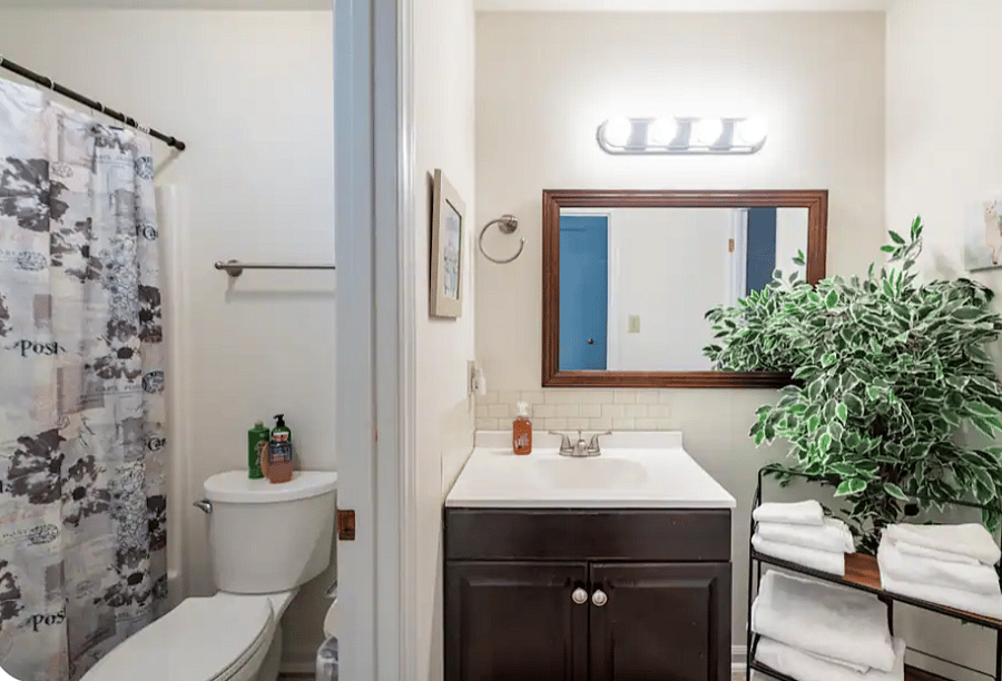 Furnished Finder property 1021658_1 photo 10