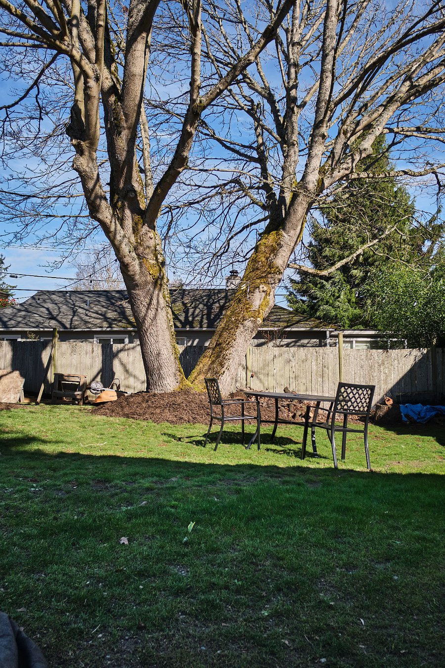 Backyard in the winter. Please keep in mind that the yard is not fully fenced in, with a 8 ft gap along the side yard.