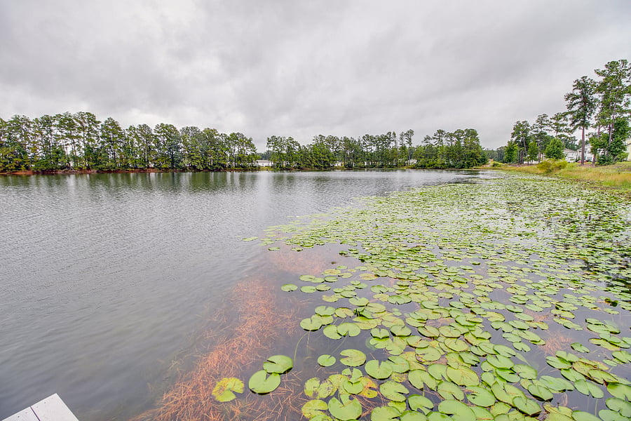 Fishing Lake