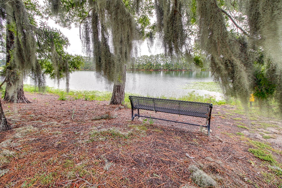 Fishing Lake