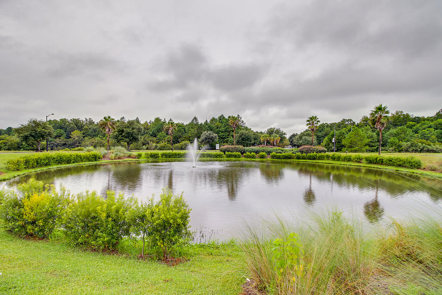 Entrance Pond