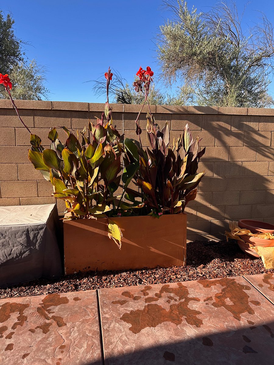 curated landscaping