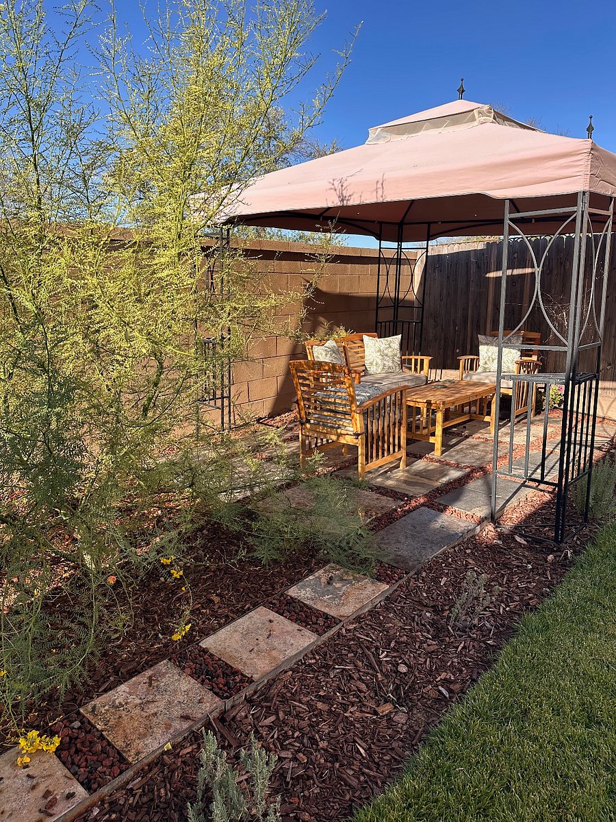 Palo verde tree next to pergola with seating