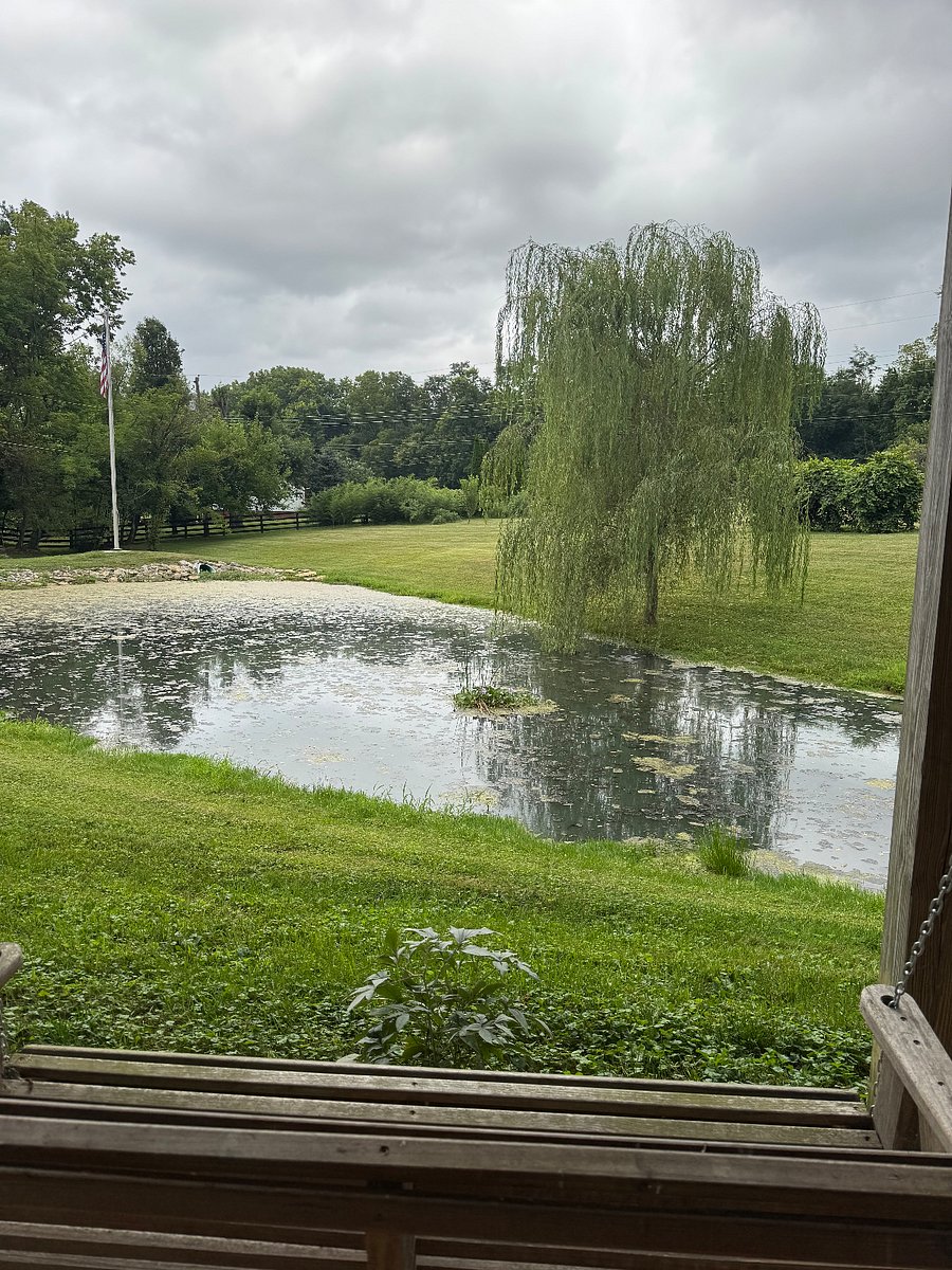 Furnished Finder property 1021700_1 photo 17