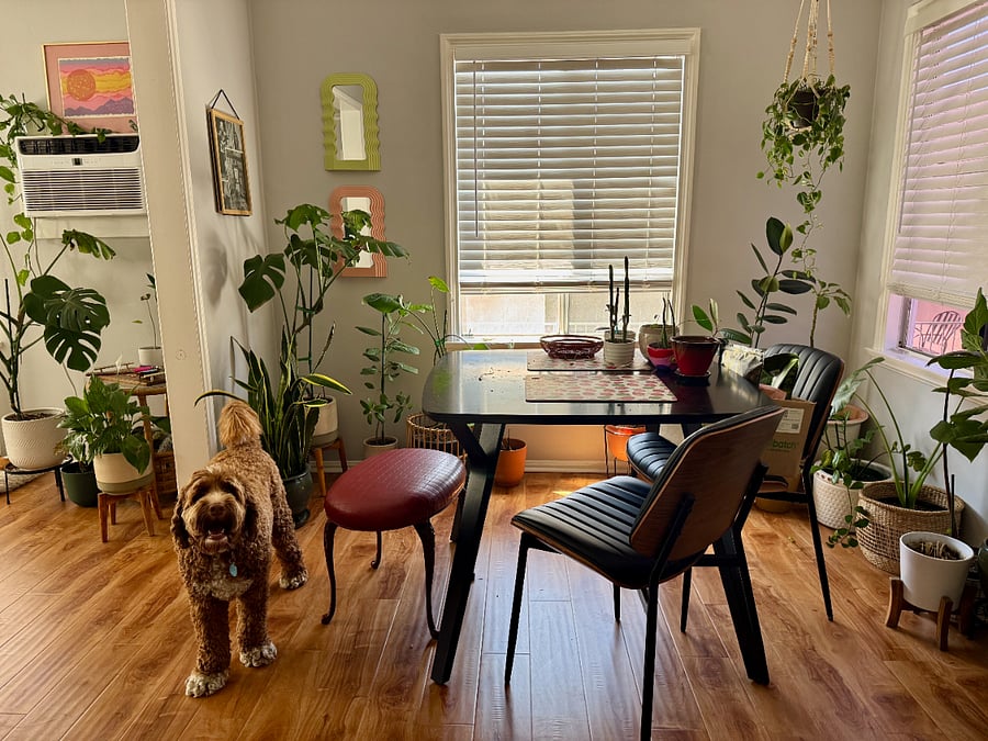 Furnished Finder property 1021728_1 photo 15