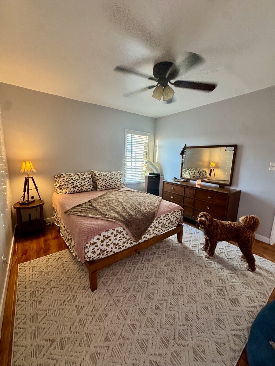 Furnished Finder property 1021728_1 photo 20
