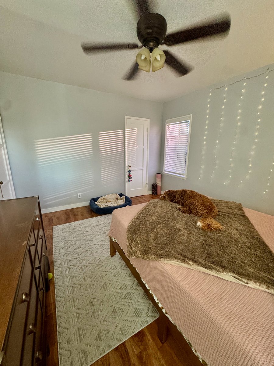 Furnished Finder property 1021728_1 photo 22