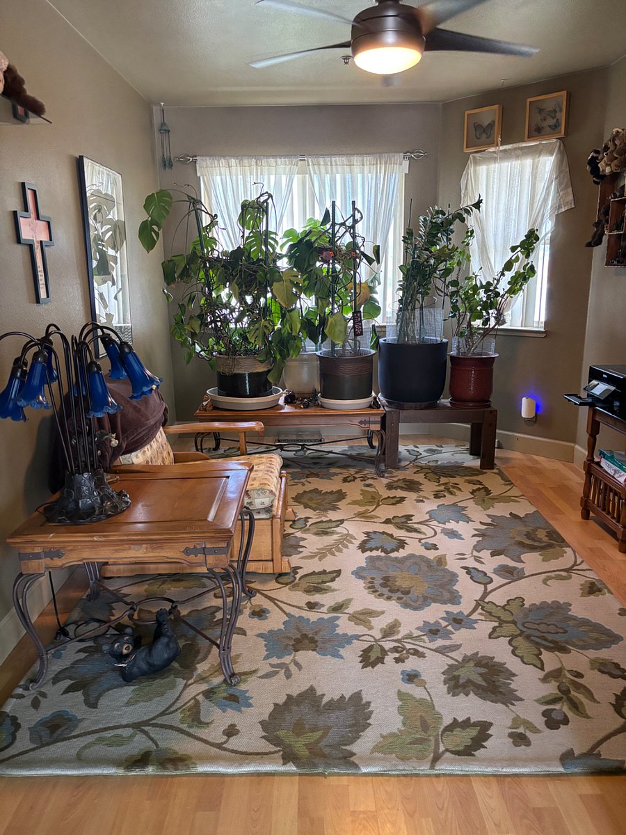 Furnished Finder property 1021774_1 photo 12