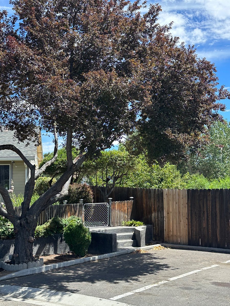 Furnished Finder property 1021774_1 photo 15