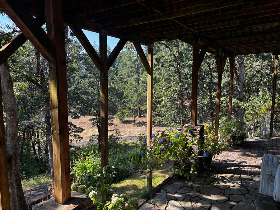 Beautiful woodland setting. 