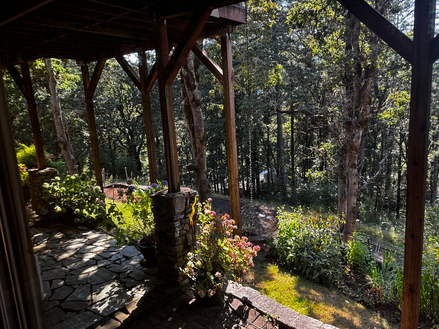 View from living room 