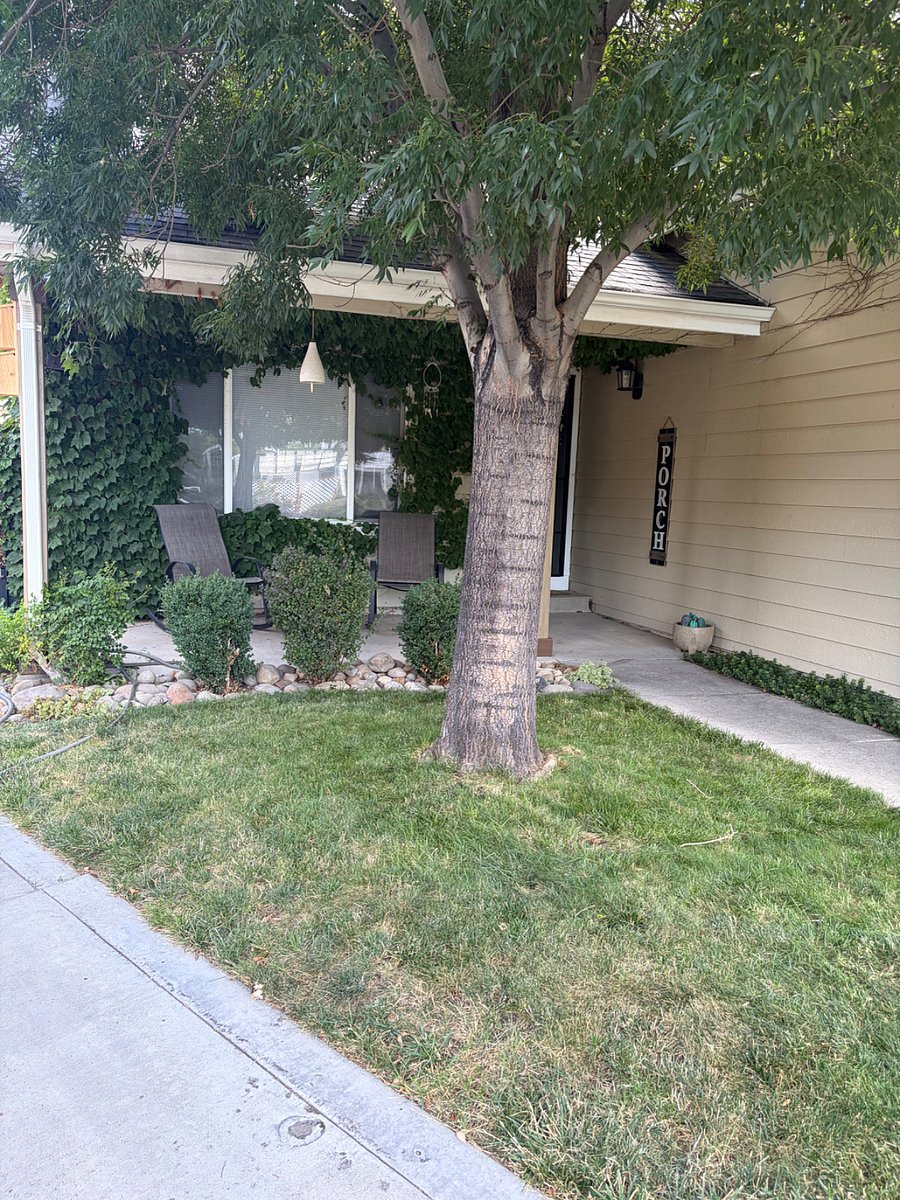 Furnished Finder property 1021839_1 photo 3