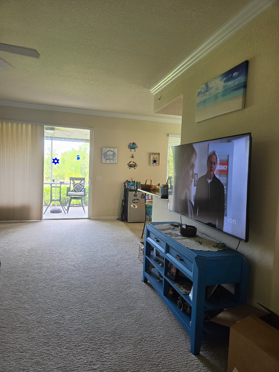 Living room with 65" tv.