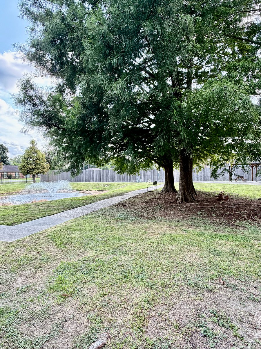 Community Park Area off back Porch