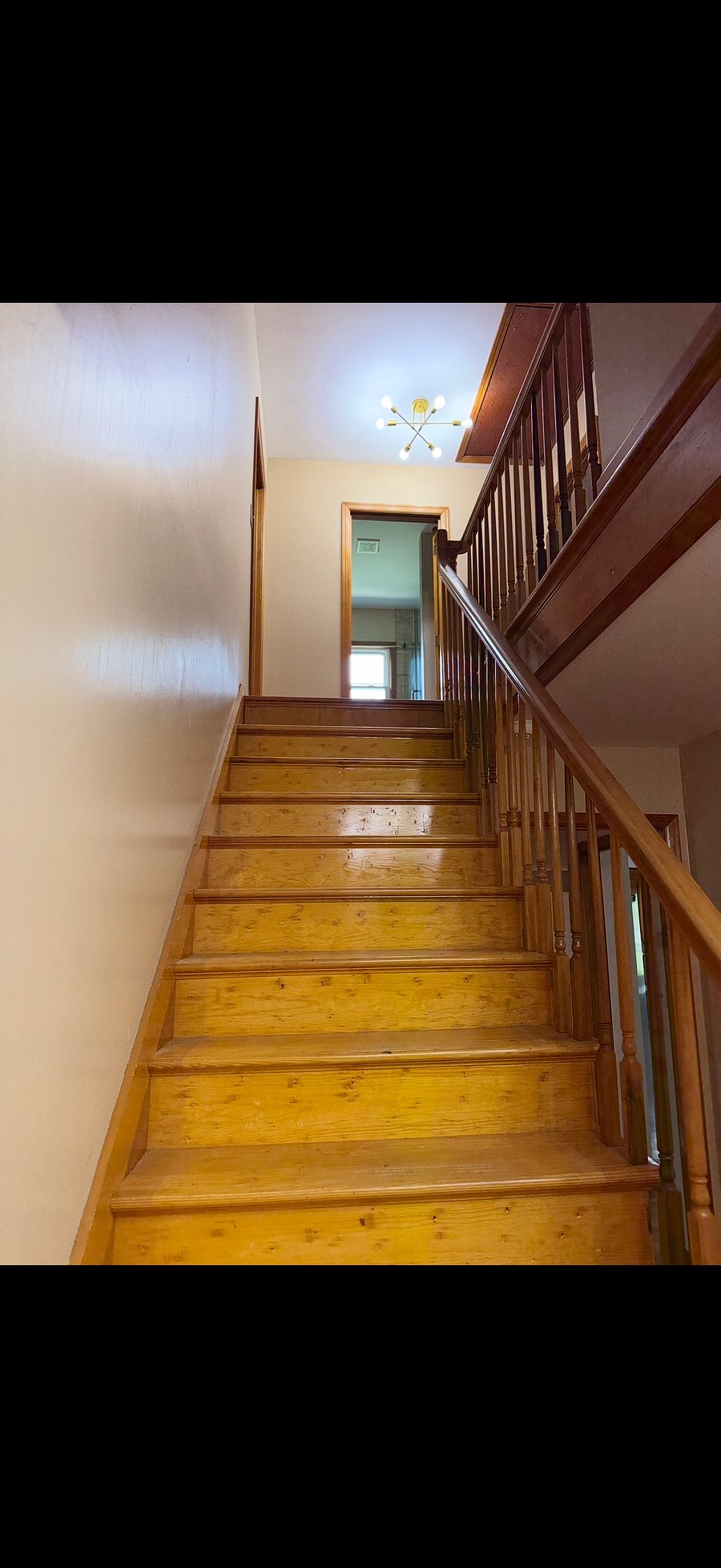 Furnished Finder property 1021938_1 photo 13