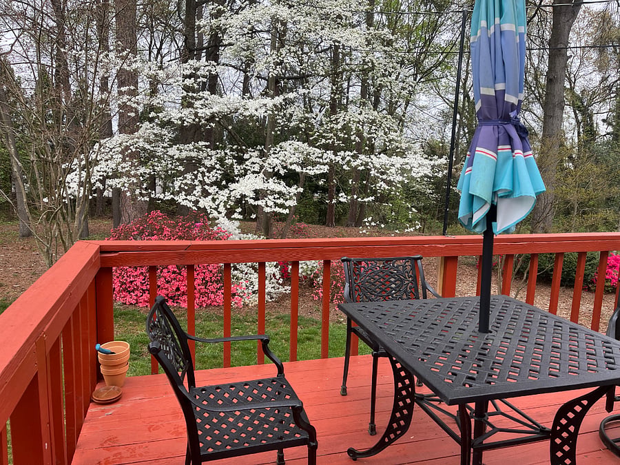 Furnished Finder property 1022035_1 photo 17