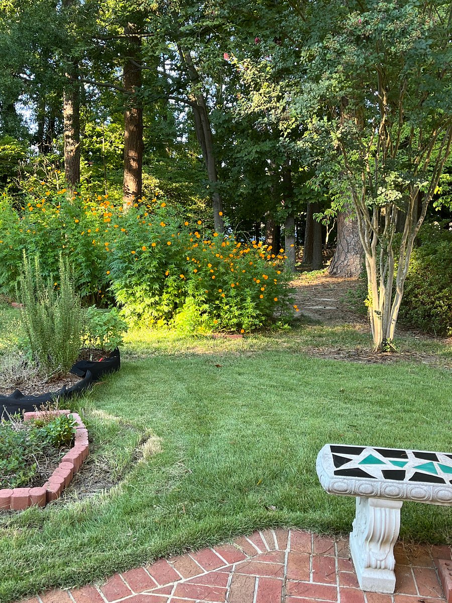 Furnished Finder property 1022035_1 photo 18