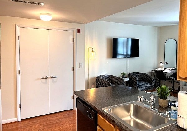 Watch TV from the kitchen. (One of two large closets shown.)