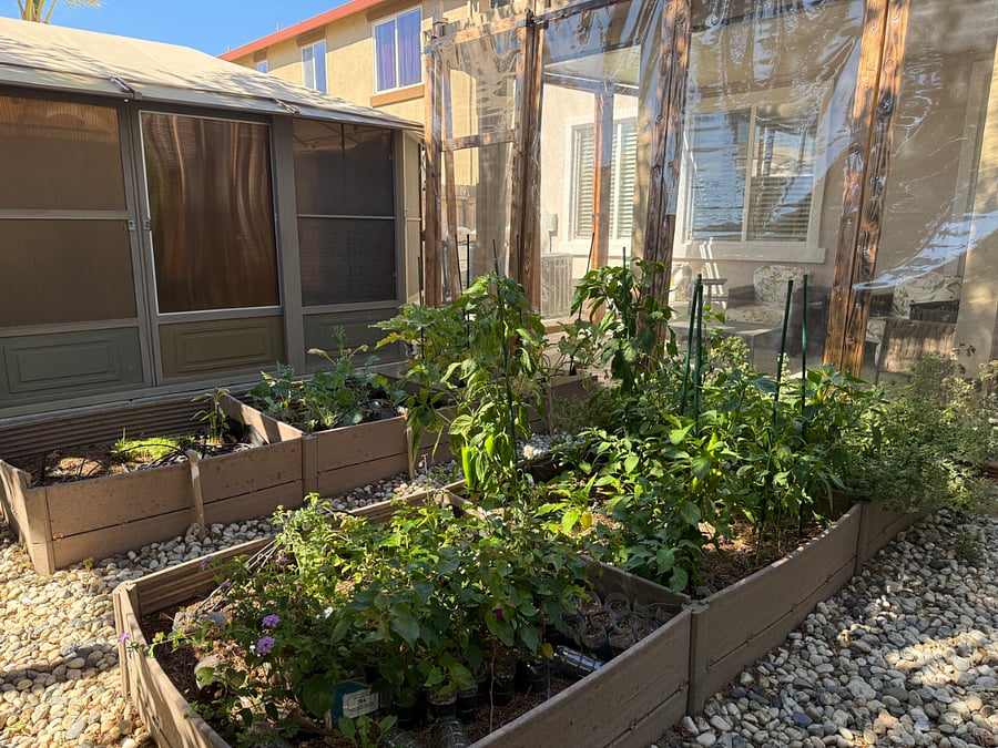 Enjoy your covered backyard patio, which includes raised garden bed planter boxes perfect for you to have a green thumb and want to plant your own herbs, flowers or fresh veggies while you're here