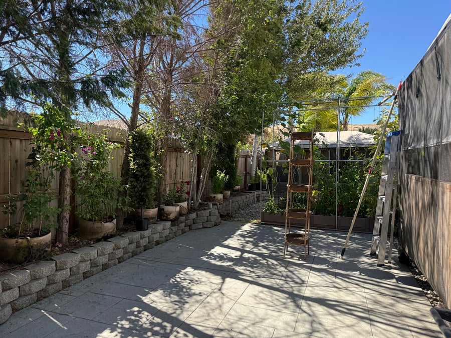 Backyard garden
