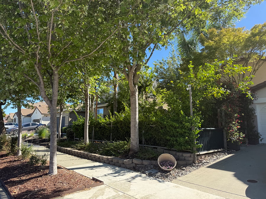 Our home easily stands out as one of the greenest on the block surrounded by lush, mature trees that creates a true private oasis