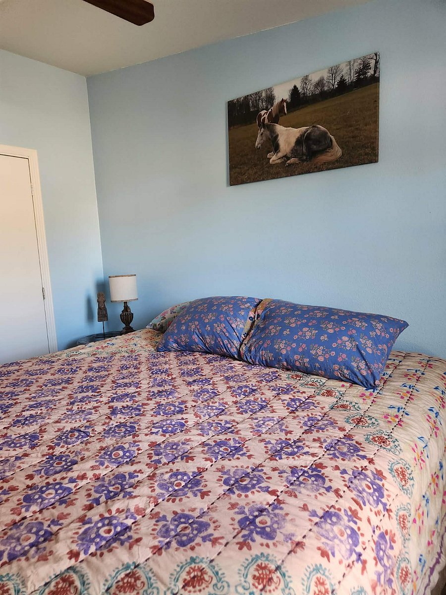 Furnished Finder property 1022104_1 photo 11