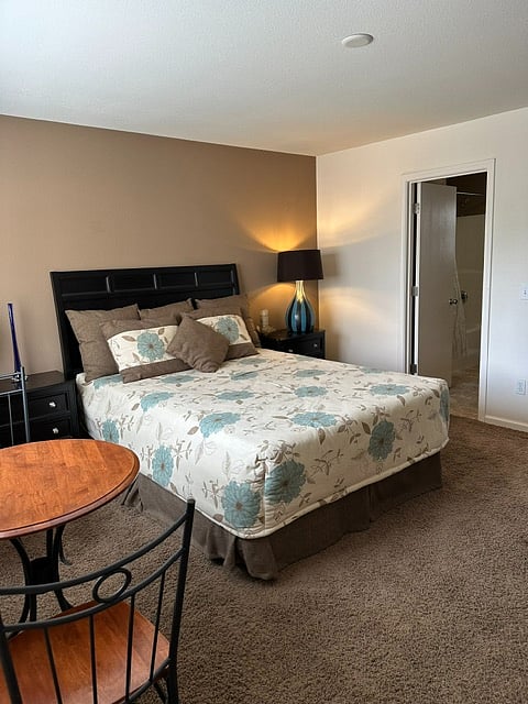 Master Bedroom Downstairs