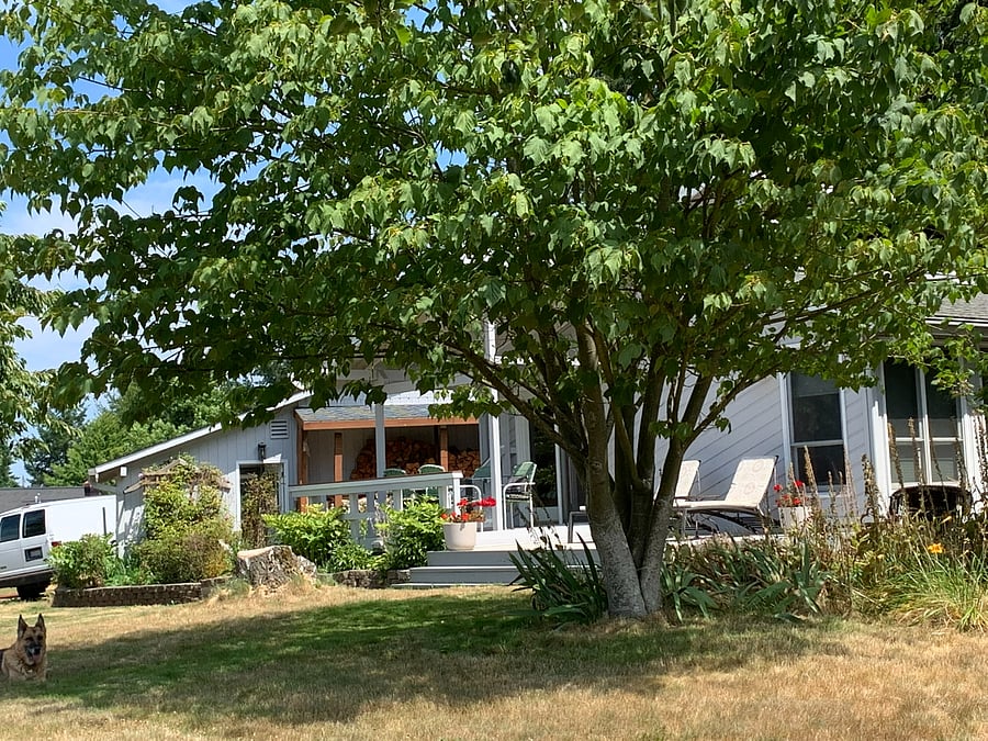 Furnished Finder property 1022285_1 photo 15